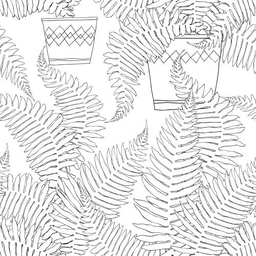 Fern. Vector Pattern ferns in pots on white