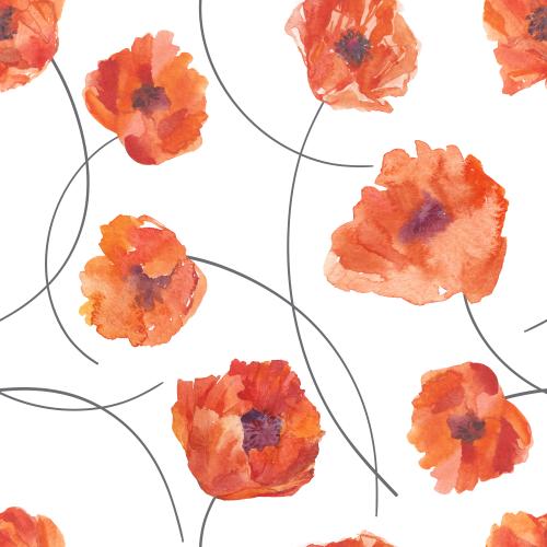Illustration watercolor poppies on white