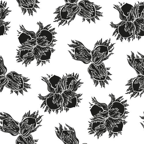 Black-white. Vector hazelnut, black silhouettes of forest nuts on white