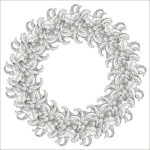 Lily. Vector lilies flower round frame on white