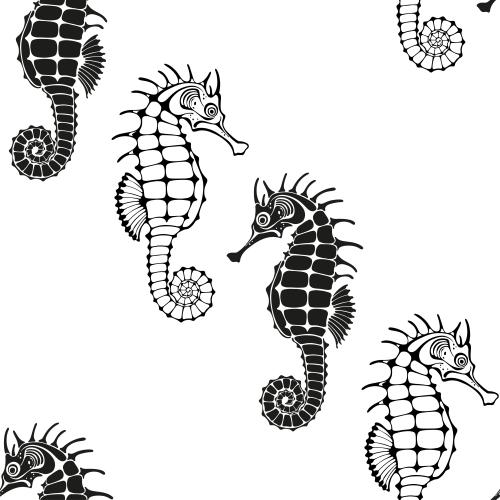Vector image sea horses black silhouettes and contours on white