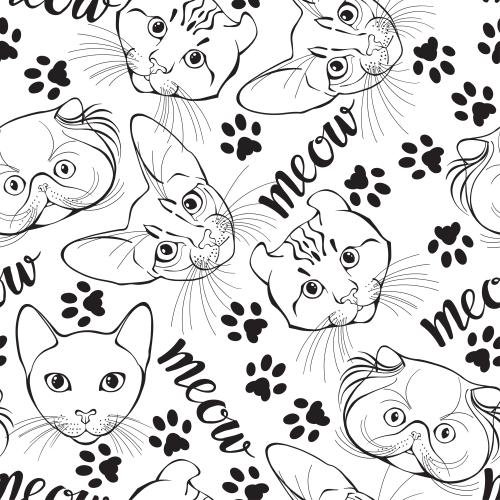 Abyssinian cat. Vector kitten faces paw prints meow message on white