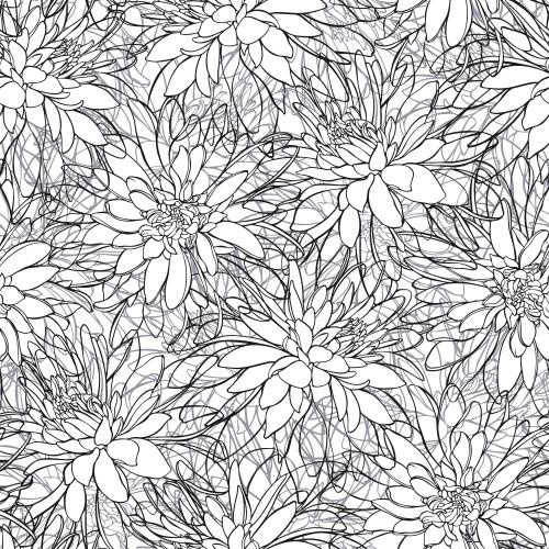 Rudbeckia. Vector white rudbeckia