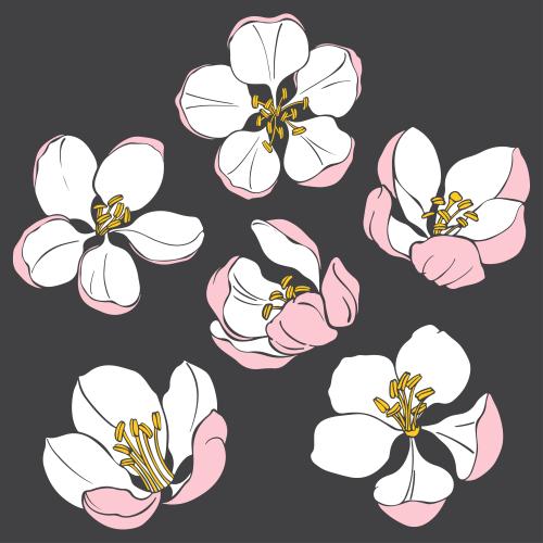 Apple tree. Vector apple tree flowers on gray