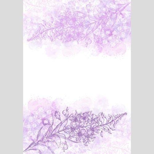 Fireweed. Vector kips ivan-tea contours and silhouettes on pink watercolor space for text on white