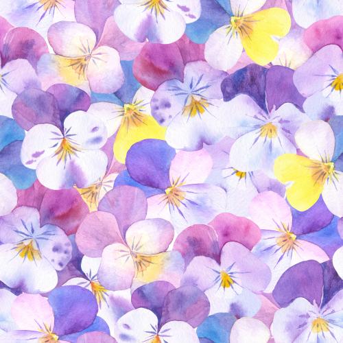 Raster image watercolor marigold