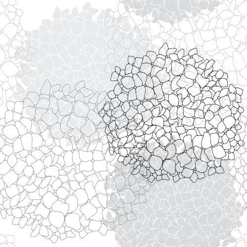 Hydrangea. Vector round hydrangea flower clusters silhouettes and contours of flowers on white
