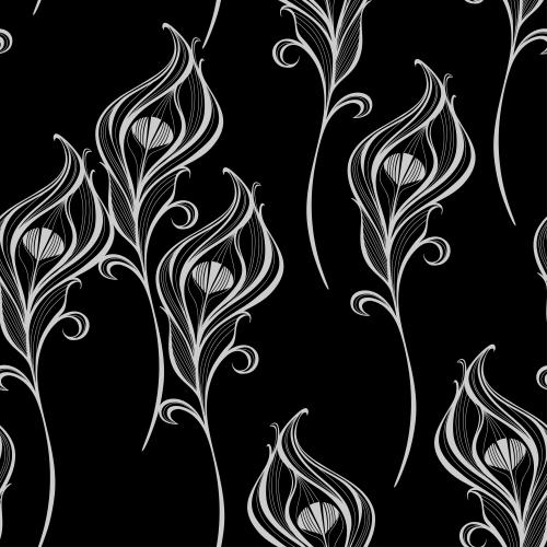 Feather. Vector peacock feathers, white silhouettes on black