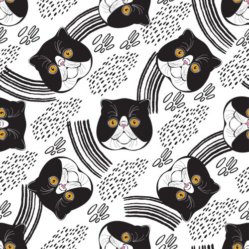 Exotic cat. Vector exotic cats cute faces and decorative pieces on white