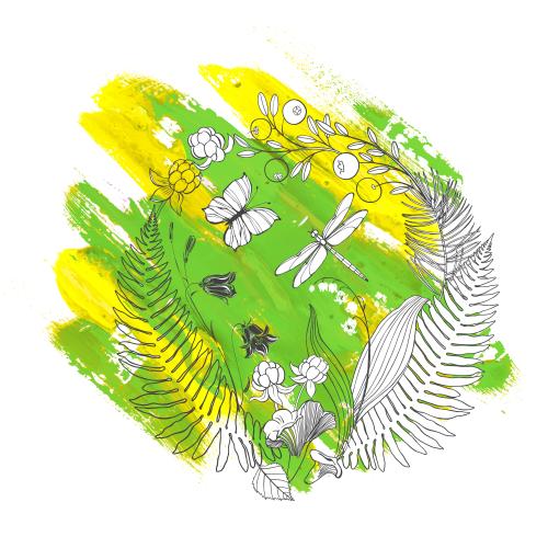 Cranberry. Vector forest composition in a circle, fern leaves, bellflower flowers, lily of the valley, cloudberry, cranberry, chanterelle mushrooms, dragonfly, butterfly on a colorful painting