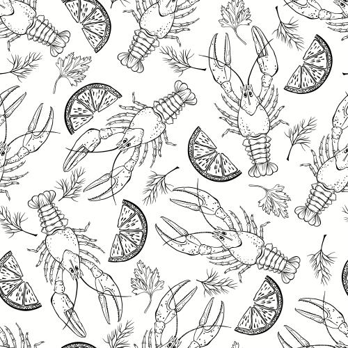 Dill. Vector shrimp lime slices dill sprigs on white