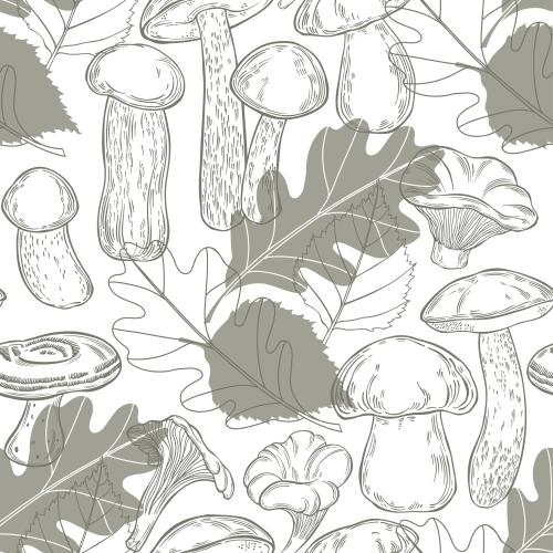 Vector image white mushrooms, birch boletes, oak boletes, hedgehog mushrooms, chanterelles, birch and oak leaves on white