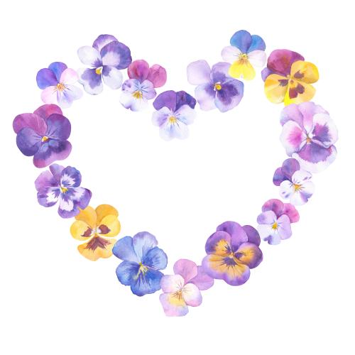 Raster image watercolor cornflowers flower frame in the shape of a heart on white