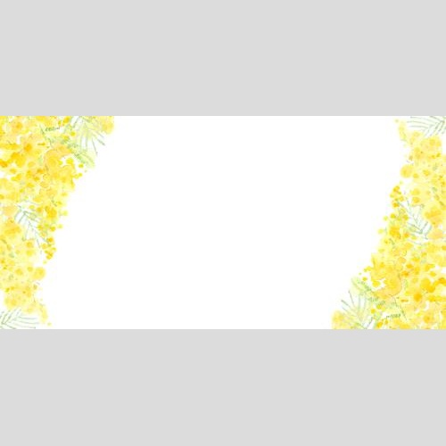 Illustration watercolor mimosa, place for text on white, corner composition