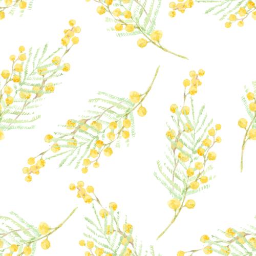 Raster image watercolor mimosa twigs on white