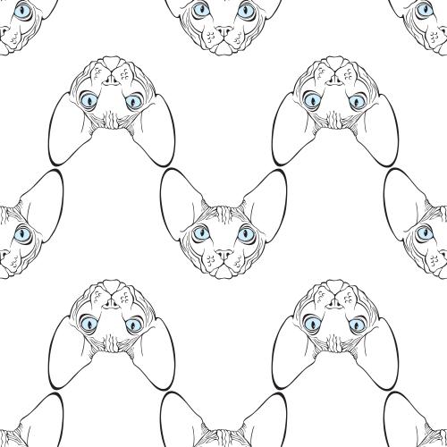 Sphinx cat. Vector sphinx cats, cute faces on white