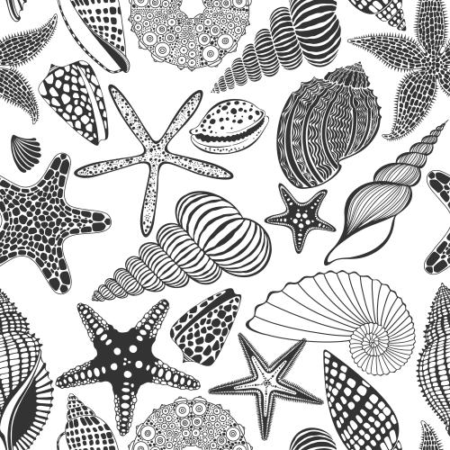 Starfish. Vector Pattern sea stars, shells, sea urchin on white