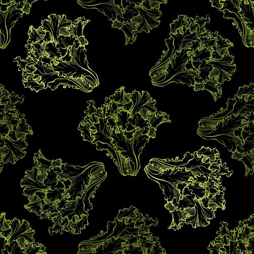 Salad. Vector salad, colorful contours of leaves on black