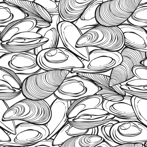 Mussel. Vector midies, contours on white