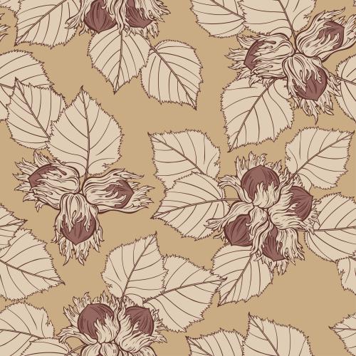 Hazelnut. Vector hazelnuts, forest nuts on light brown