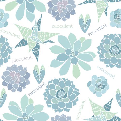 Vector image succulents colorful silhouettes on white