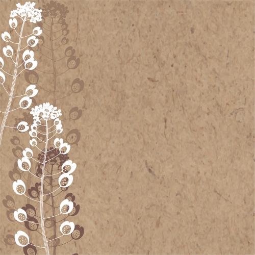 Illustration silhouettes and contours of meadow flowers, place for text on craft