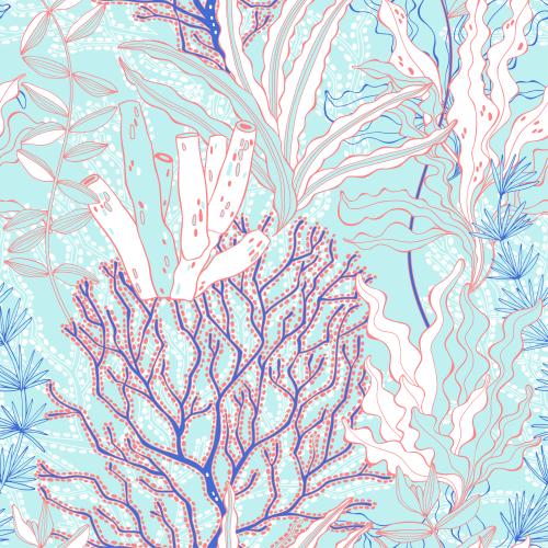 Illustration seaweed, corals on blue