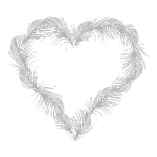 Vector image heart made of feathers on white, with a place for text