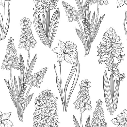 Hyacinth. Vector spring flowers: muscaris, hyacinths and daffodils on white