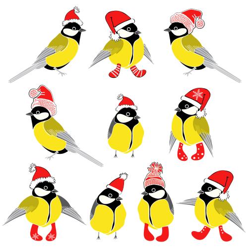 Titmouse. Vector titmice in new year's hats and socks on white