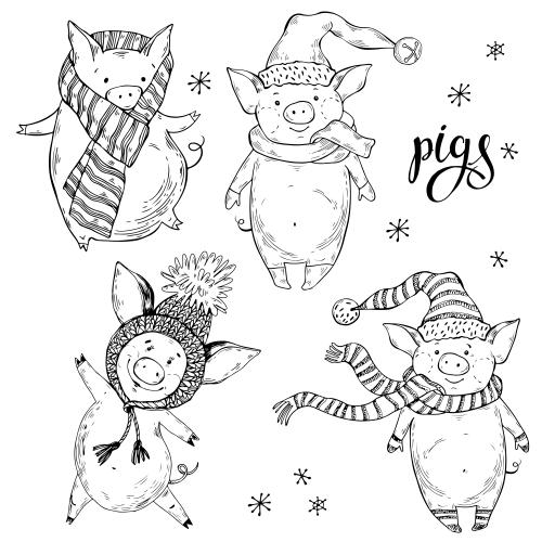 Snowflake. Vector four cheerful cartoon pigs in winter clothing snowflakes on white
