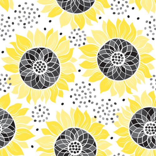Sunflower. Vector sunflowers on white