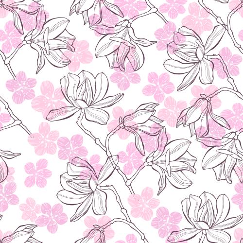 Magnolia. Vector flowers of magnolia and cherry blossoms colored outlines and silhouettes on white