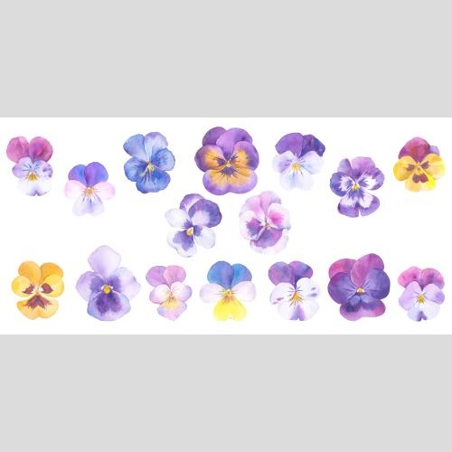 Raster image watercolor cornflowers on white