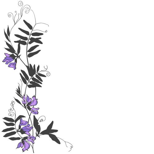 Illustration field flowers text area on white