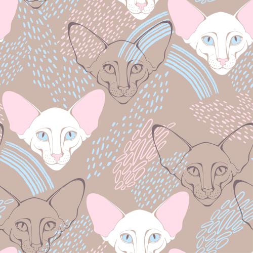 Illustration oriental cat cute faces decorative fragments on pastel brown