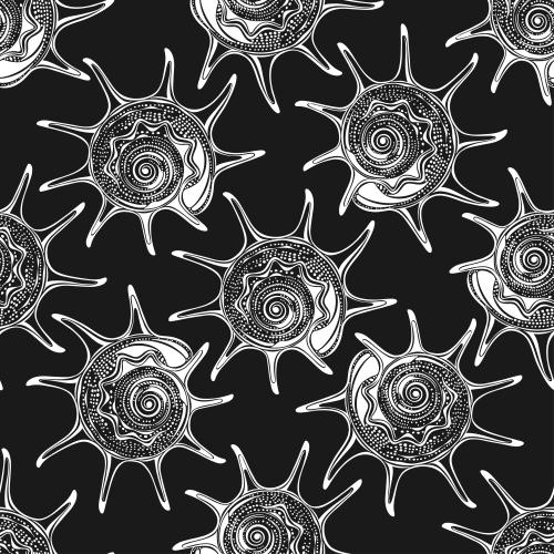 Shell. Vector Pattern black shells