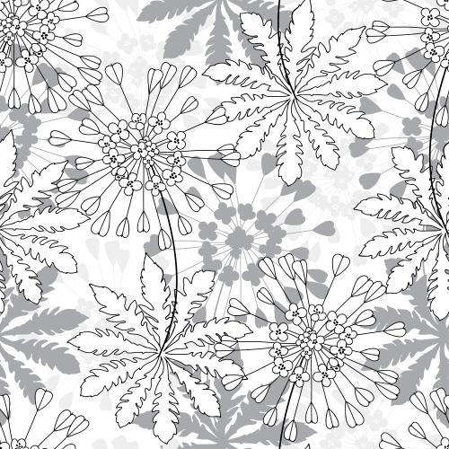Vector image stylized flowers contours and silhouettes on white