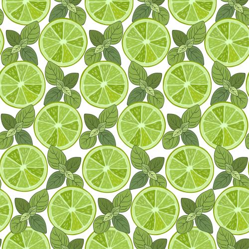 Spice. Vector slices of lime and mint leaves on white