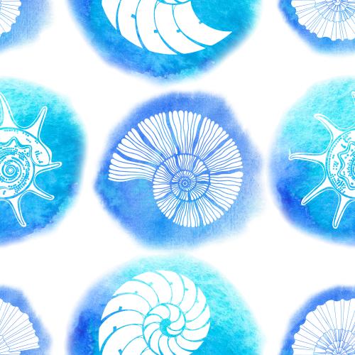 Illustration watercolor nautiluses on white