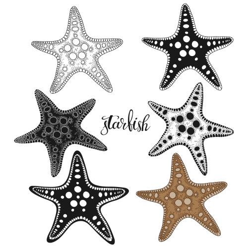 Vector image sea stars on white, six options
