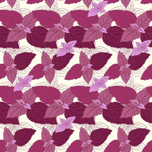Basil. Vector purple basil on light