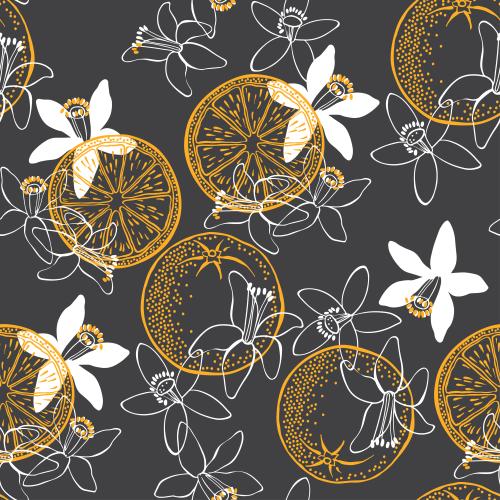 Orange. Vector flowers neroli and oranges on black