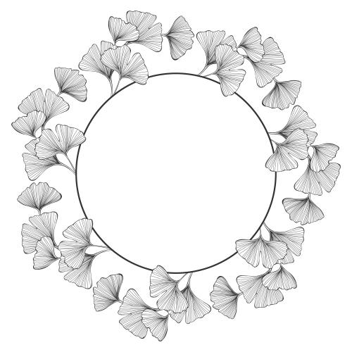 Ginkgo biloba. Vector round frame with ginkgo biloba leaves on white