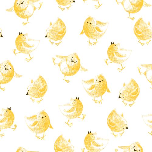 Chick. Vector cartoon chicks on white