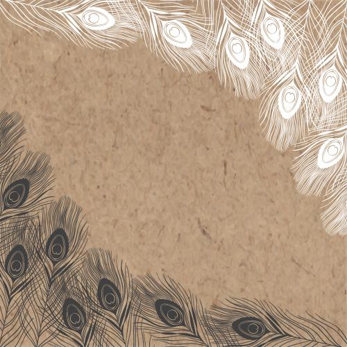Peacock feather. Vector peacock feather frame, black and white silhouettes on craft, corner composition