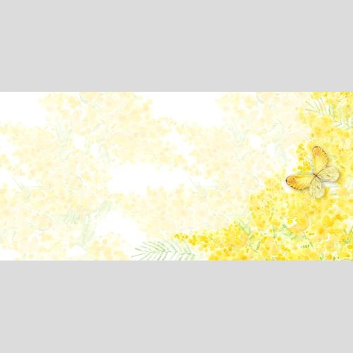 Raster image watercolor mimosa and butterfly