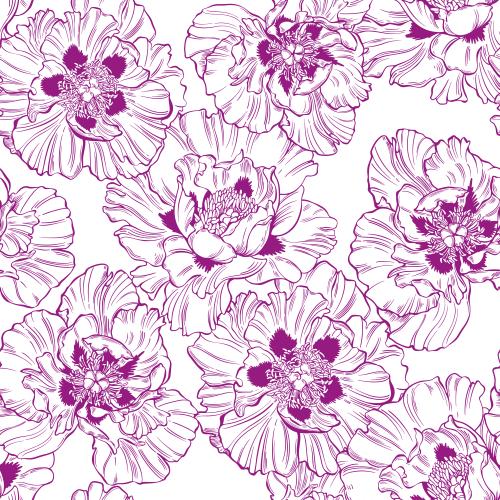 Vector image peonies colored outlines on white