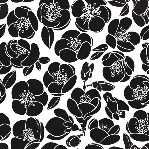 Japanese quince. Vector japanese quince, black silhouettes of flowers on white