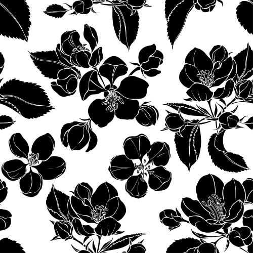 Apple tree. Vector flowers of the apple tree, black silhouettes on white